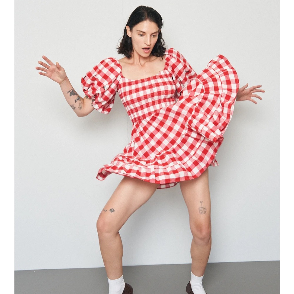 NWOT Fashion Brand Company Bugs Smocked Picnic Dress